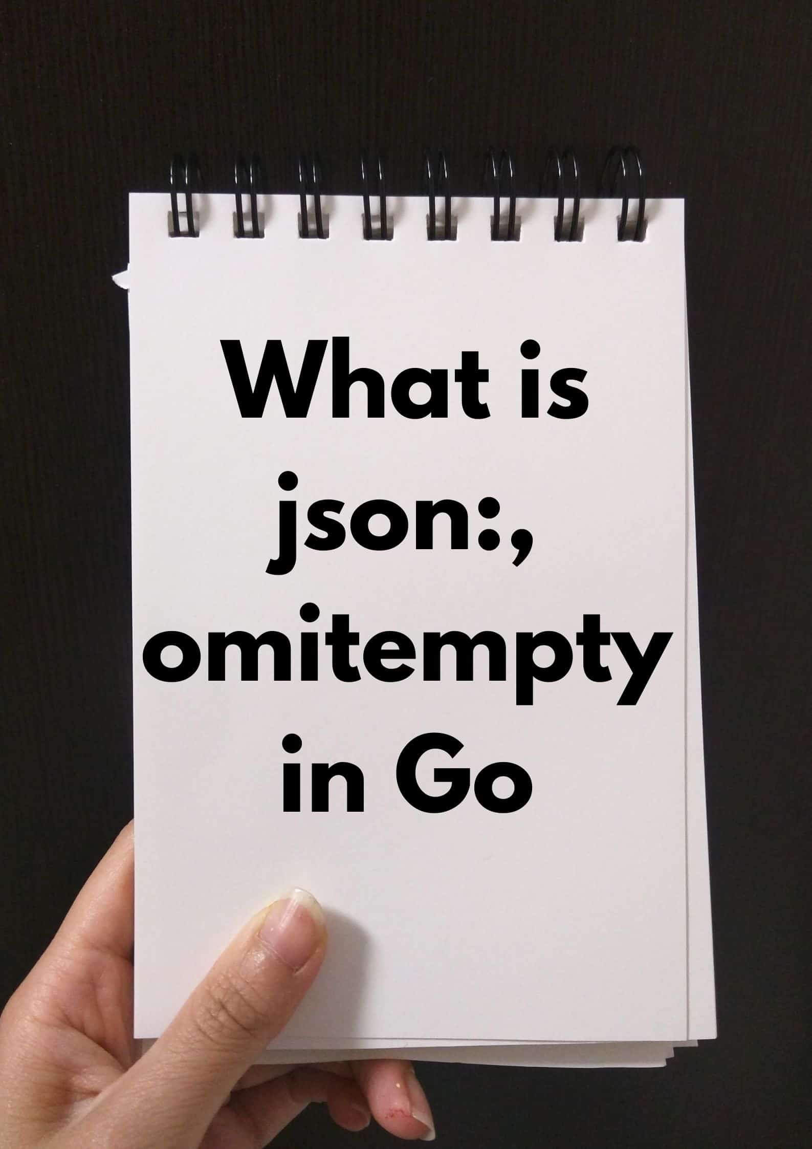 What Is json:,omitempty In Go?